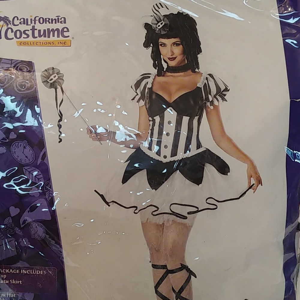 The Kings Delight Costume